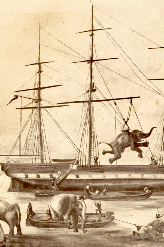Blog image